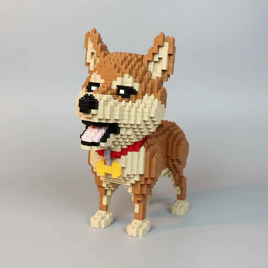 Shiba | Building Blocks