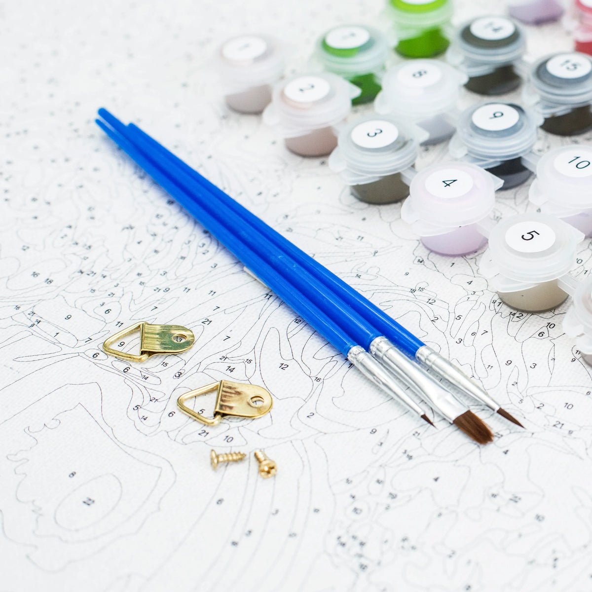 Monkey | Paint by Numbers