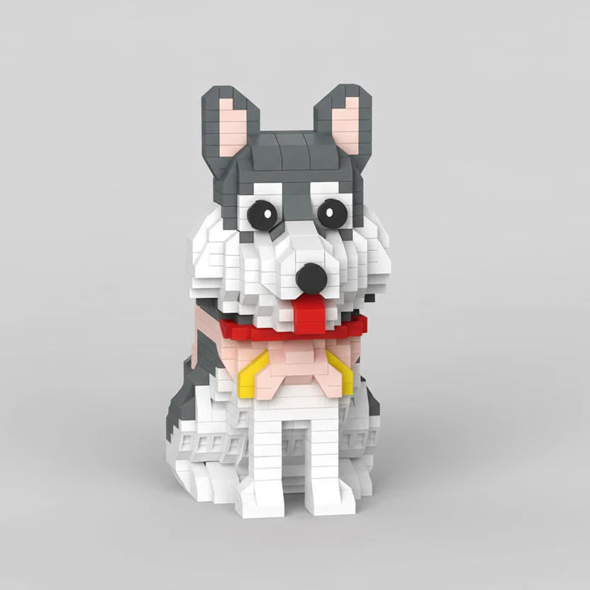 Gray husky | Building bricks