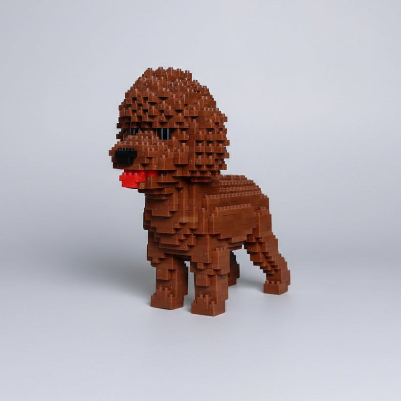 Brown Poodle | Building Blocks