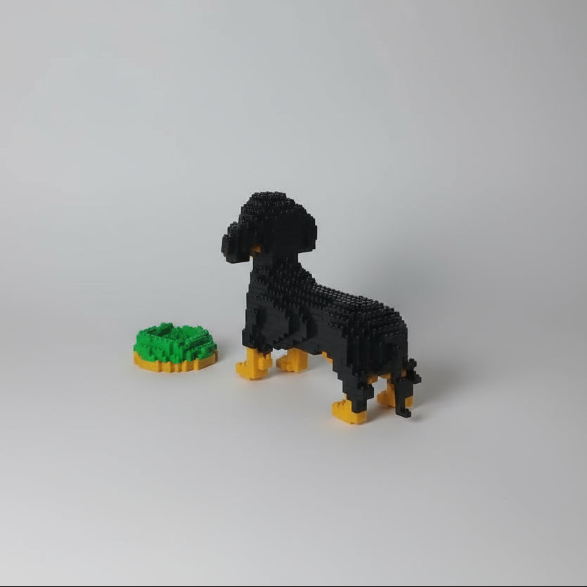 Mini Dachshund | Building blocks