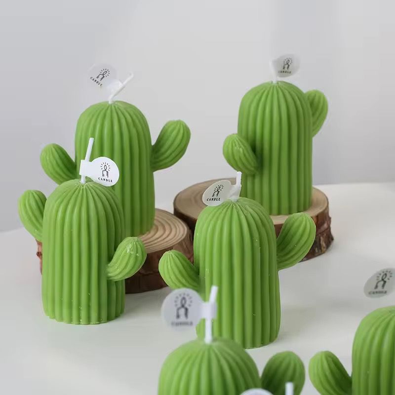 Cactus mold | Candle making