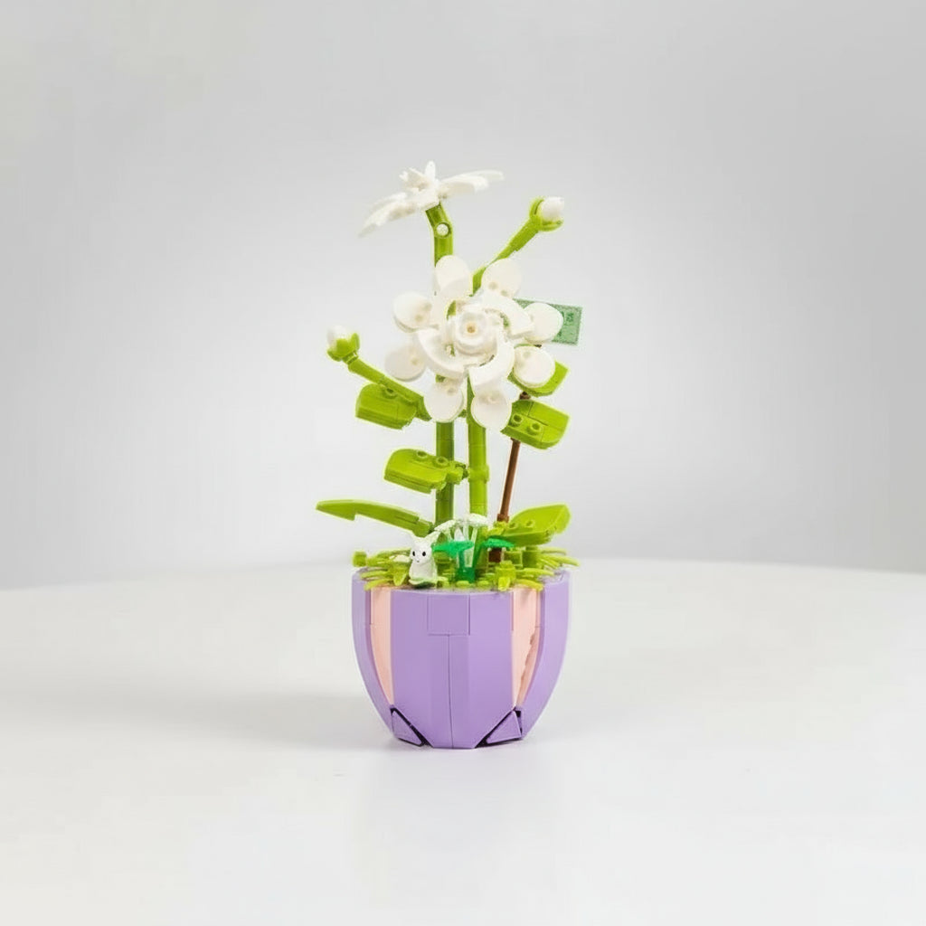 Plants | Building blocks