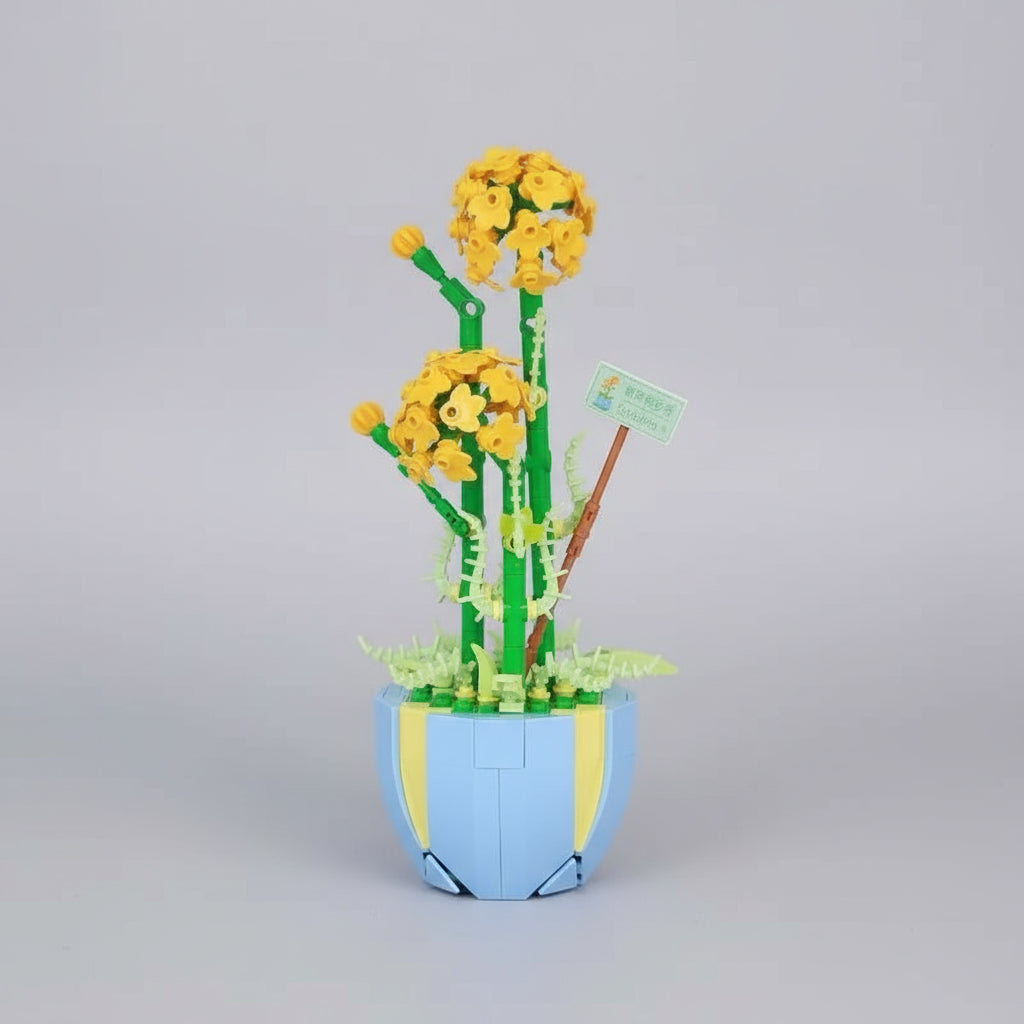Plants | Building blocks