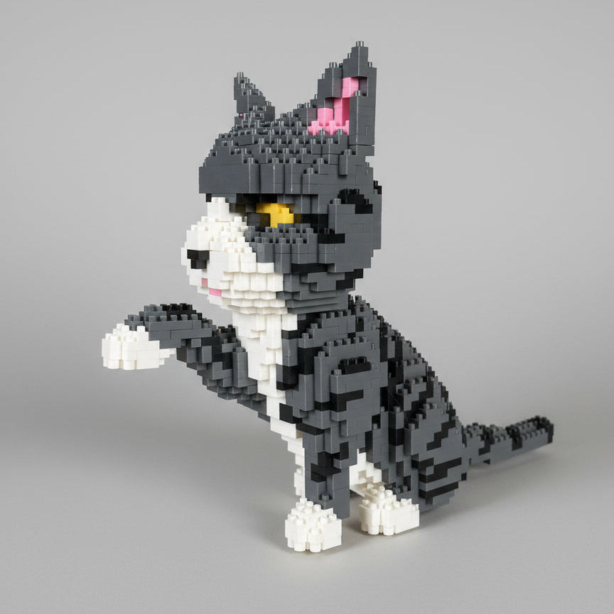 Gray cat | Building blocks