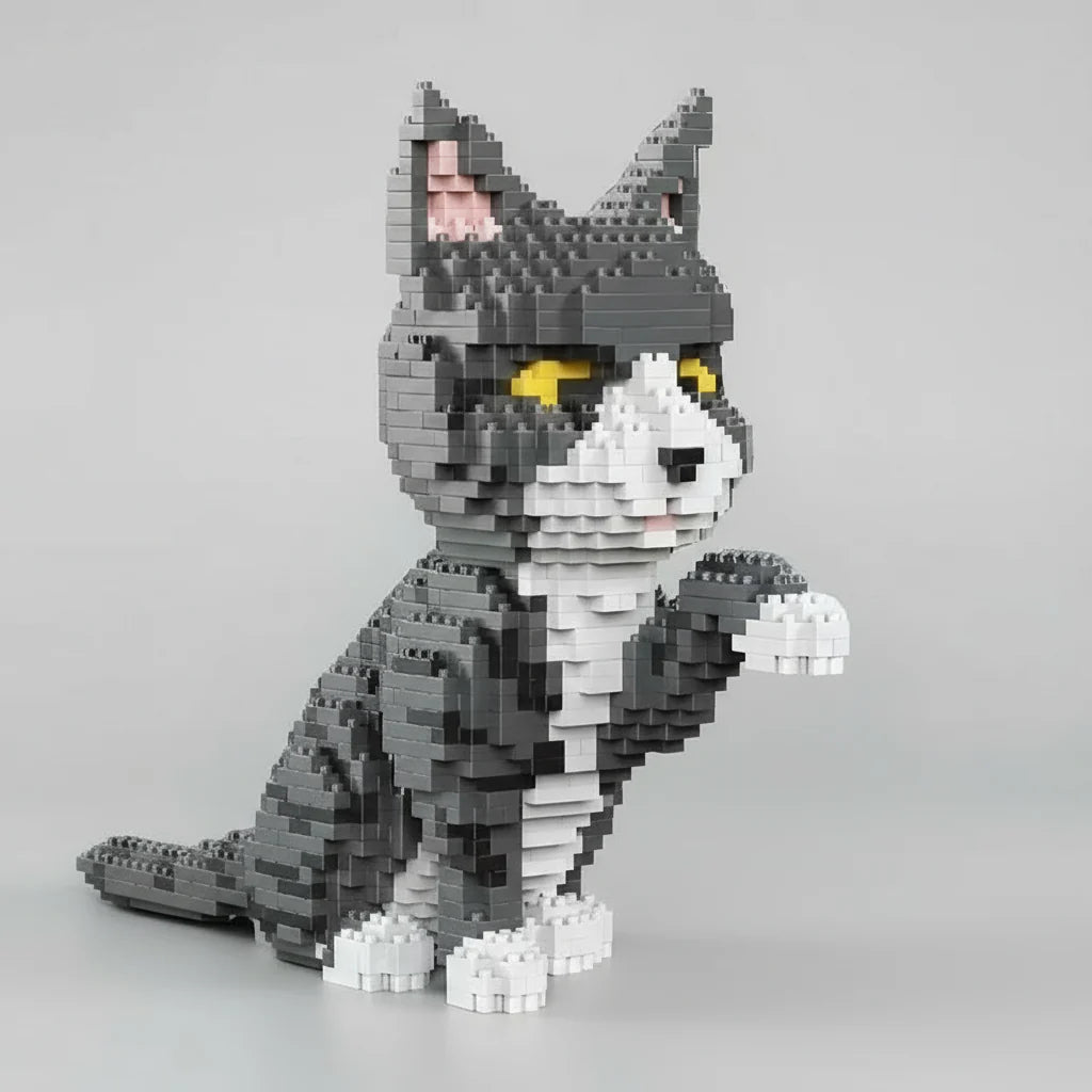 Gray cat | Building blocks