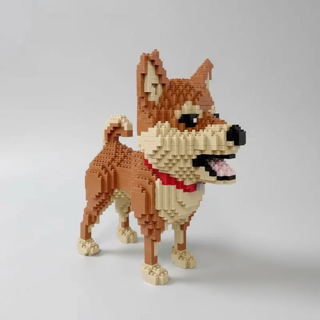 Shiba | Building Blocks
