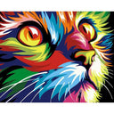 Beautiful Cat | Paint by Numbers