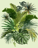 Leaves | Paint by Numbers