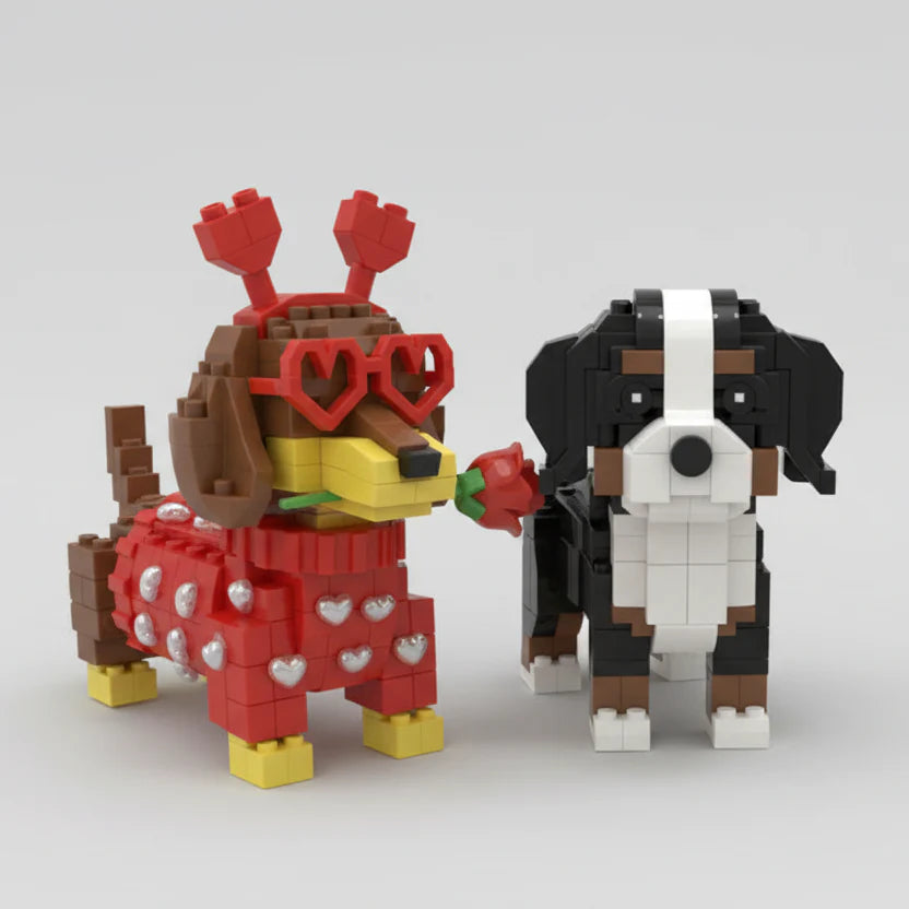 Bernese Mountain Dog | Building Blocks