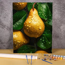 Lemon | Paint by Numbers