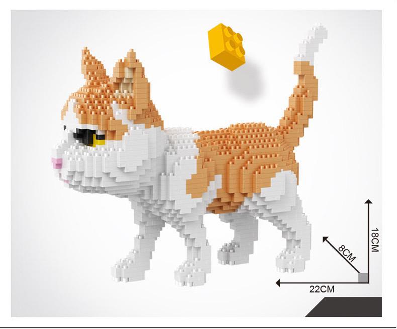 Kitten | Building Blocks