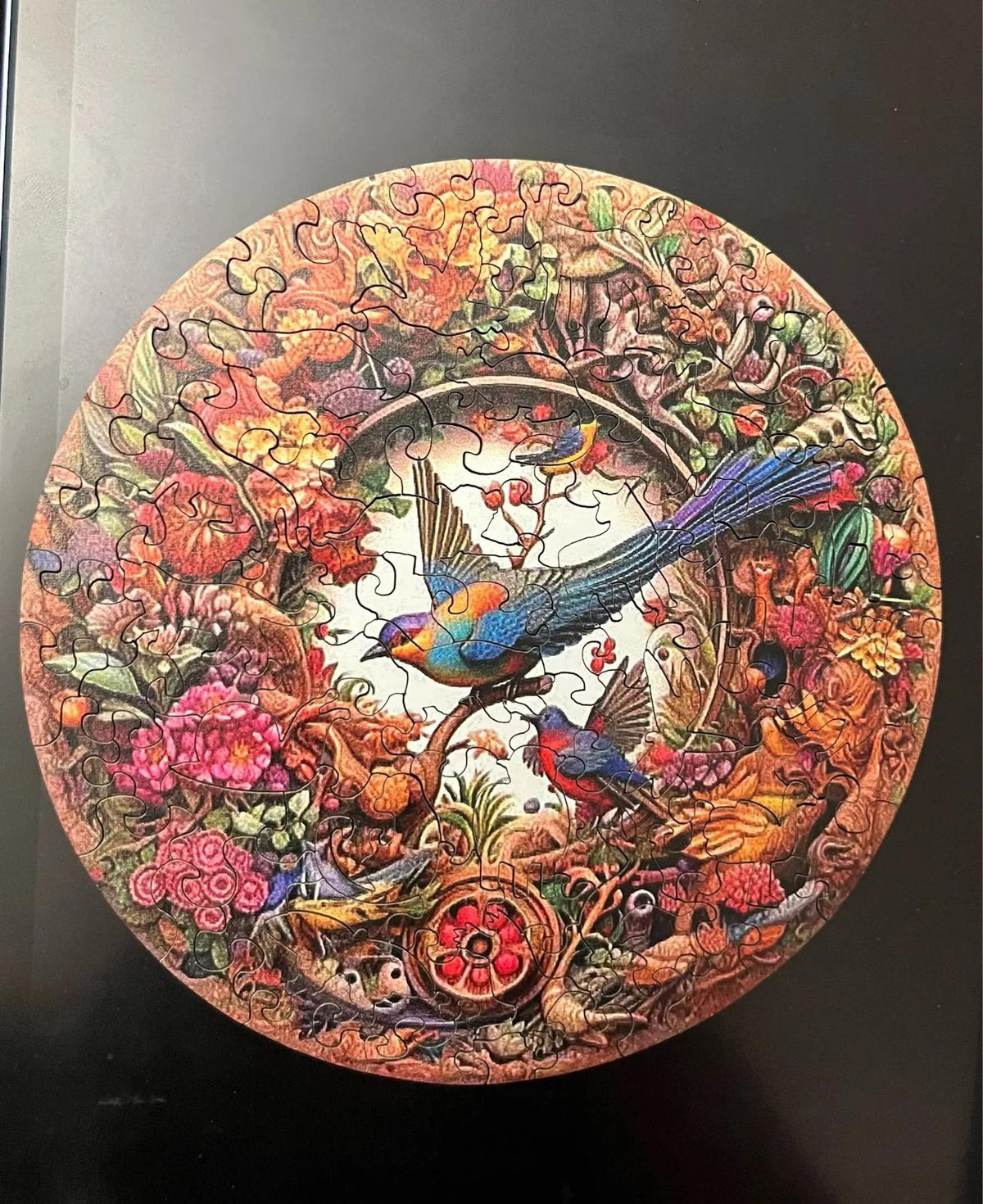 Beautiful Bird  | Wooden Puzzle
