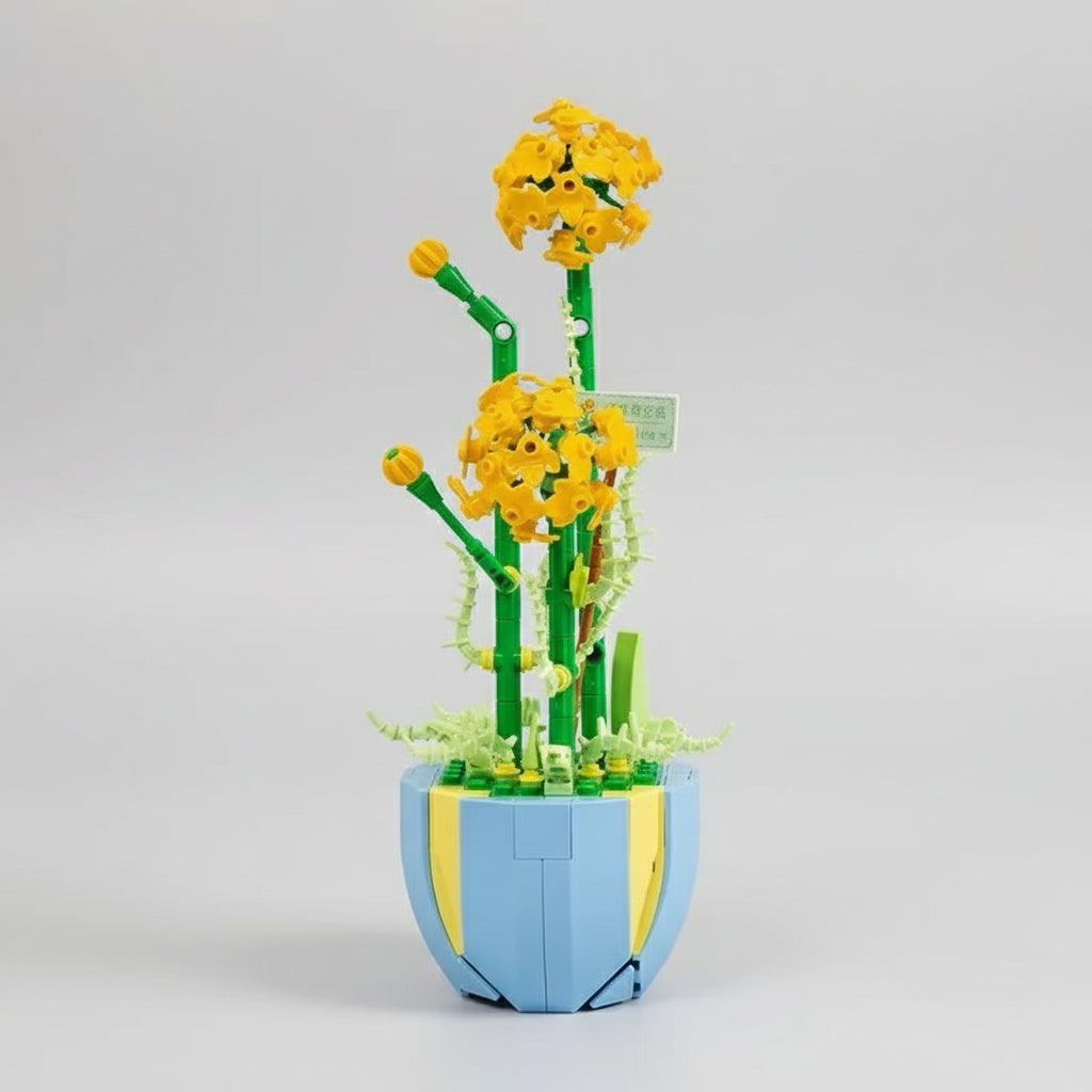 Plants | Building blocks