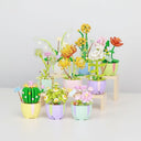 Plants | Building blocks