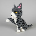 Gray cat | Building blocks