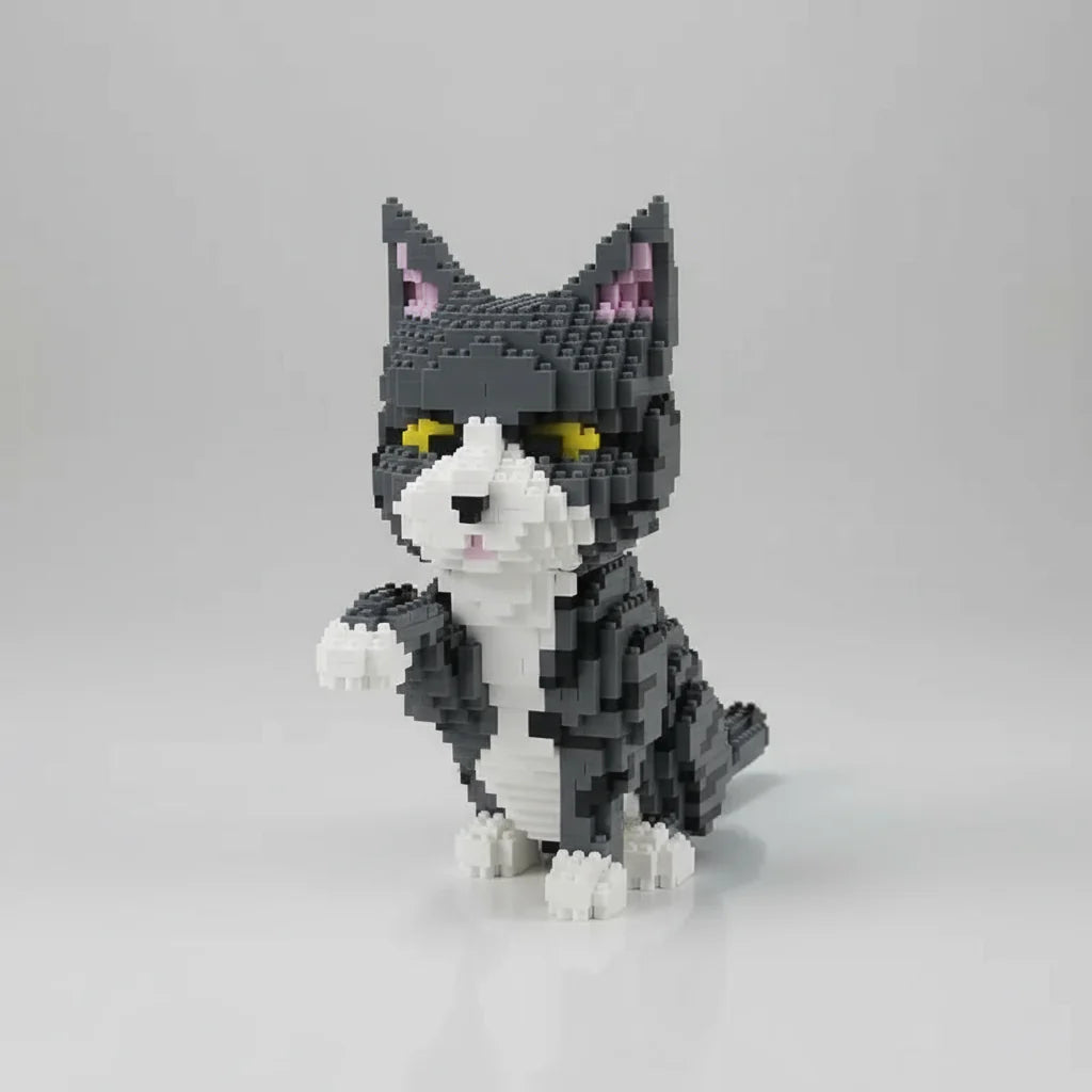 Gray cat | Building blocks